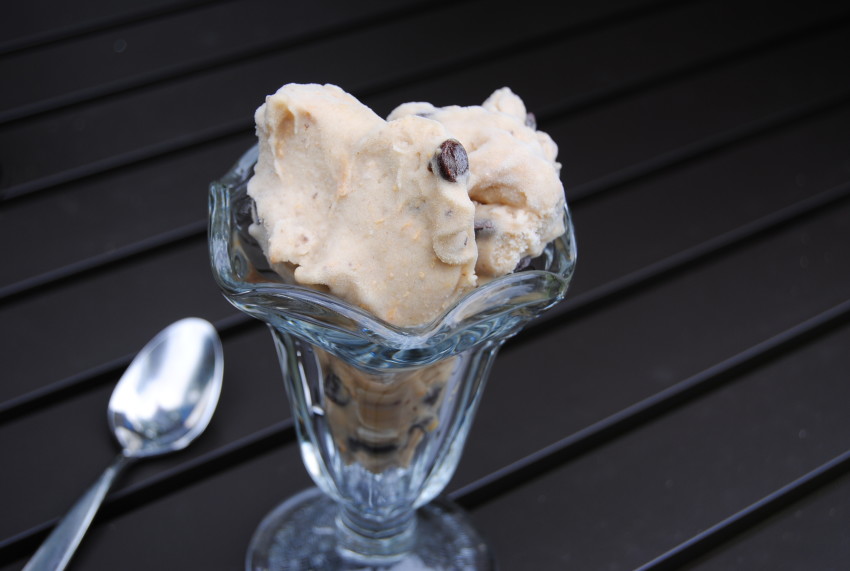 Dark Chocolate Chip Ice Cream {Dairy Free}