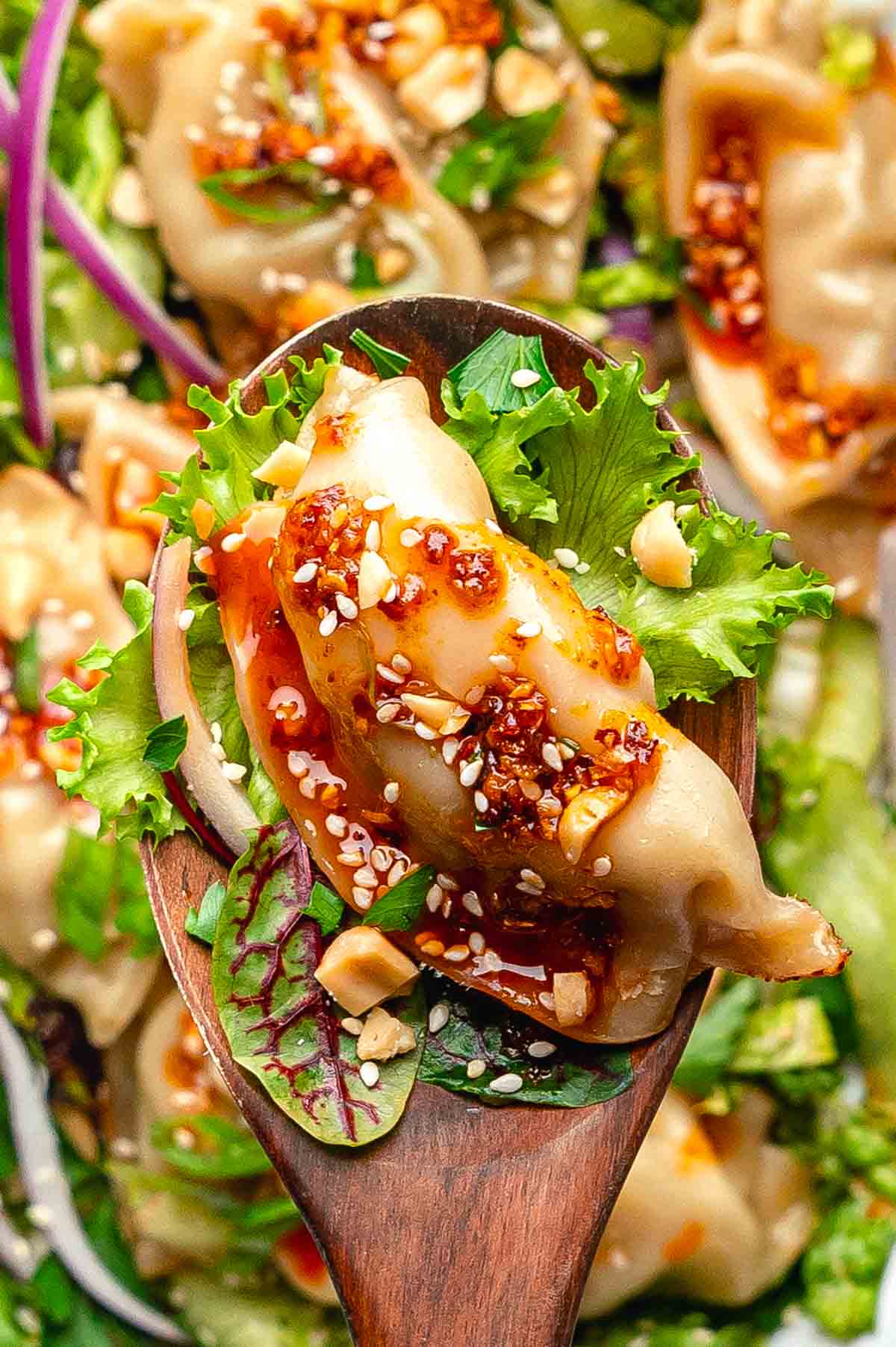 Viral Dumpling Salad